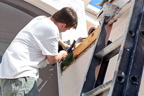 Handyman fixing termite damagebuilding and construction